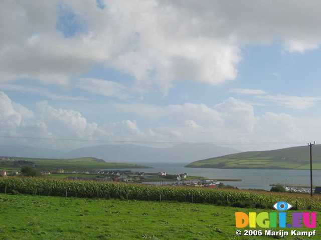 19513 View of Dingle Bay